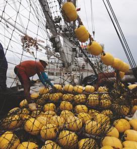 Fishers on Tuna vessel